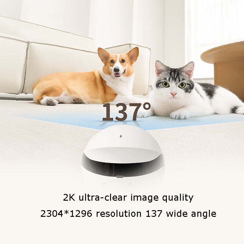 Bezpieczeństwo w domu, zabawka – Home Security Robot recenzja i cena